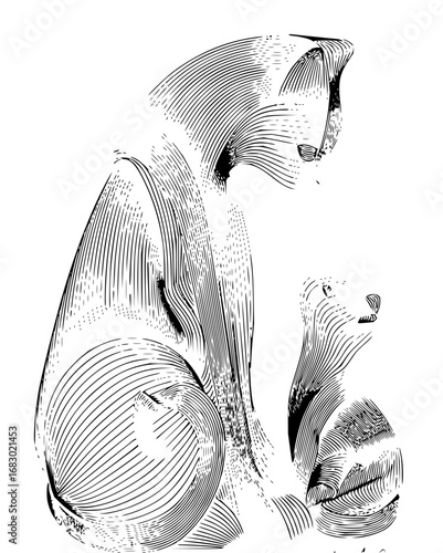 Charming cat and kitten sketch captures tender moments and feline grace for whimsical designs