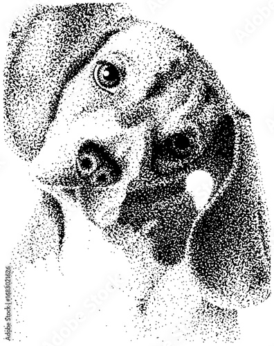 Captivating close-up of a dog's expressive face, rendered in a unique stipple art style.
