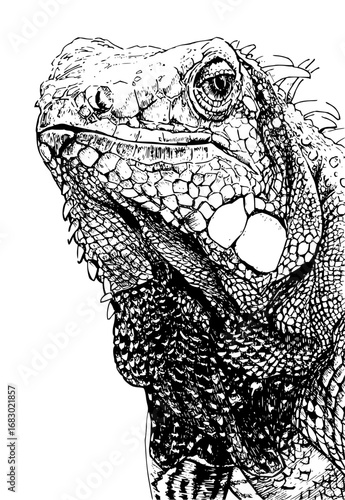 Intense close-up sketch of an iguana's detailed head and scaly skin, striking nature portrait