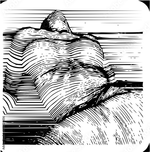 Close-up sketch of a sleeping cat's head, detailed linework capturing peaceful slumber and soft fur texture