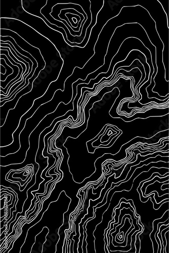 Striking contour lines map abstract white on black, representing terrain elevation and geographic data
