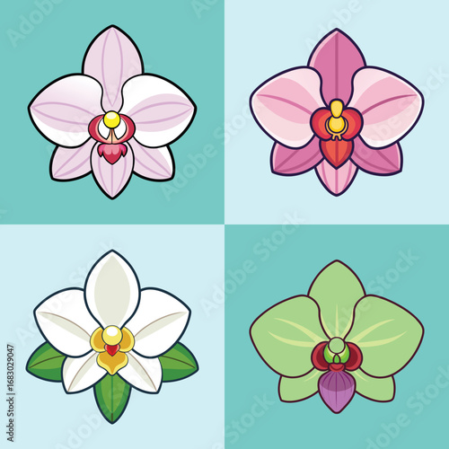 Vibrant Flat-Style Orchid Flower Illustrations: Pink, White, and Green Variations.