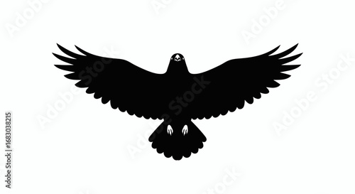 Flying black crow bird for haunted Halloween spooky night mysterious creepy ghost festive artwork