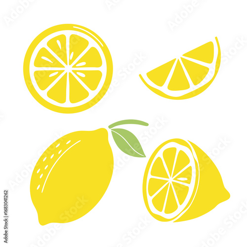 Yellow lemons and citrus slices vector illustration fruit