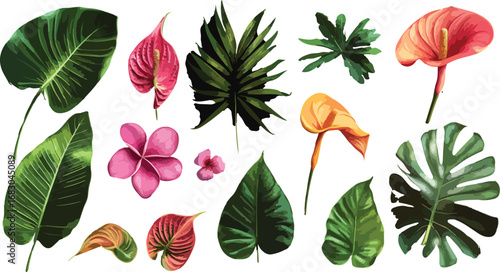 Collection of tropical leaves and exotic flowers isolated on white background