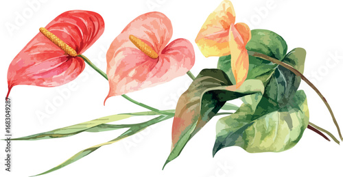 Vibrant watercolor painting of exotic anthurium flowers in shades of pink red and yellow