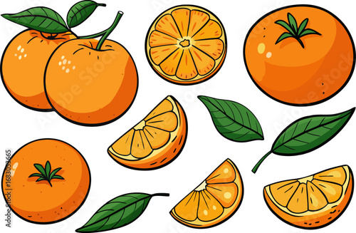 Fresh orange. Big vector collection of fresh oranges. Orange fruit isolated on white background.
