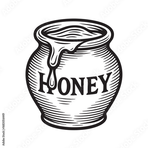 Detailed engraving style honey pot black and white sketch