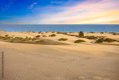 Panoramic view of the Natural Reserve of Dunes of Maspalomas in Gran Canaria, Canary Islands, Spain.