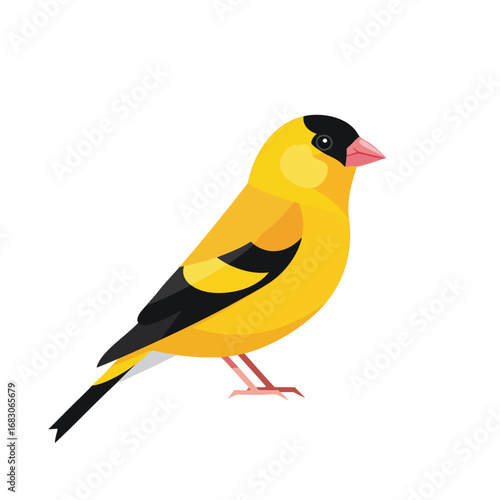 A vibrant yellow and black American Goldfinch bird illustration.