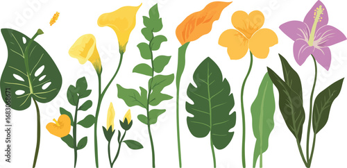 Vibrant collection of tropical and exotic flowers and green leaves on white background