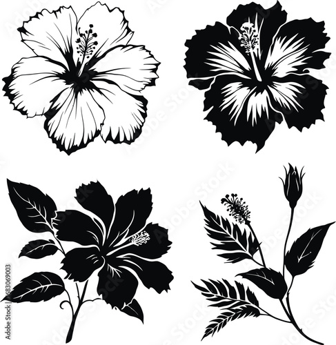 Black and white hibiscus flower illustrations — botanical vector set with varied petal styles, leaves, and budding blooms