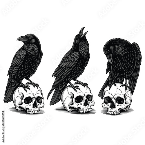 Three detailed black ravens in various poses each perched atop a weathered human skull in a gothic illustration.