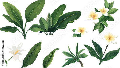Collection of lush green tropical leaves and delicate white and yellow flowers on a white background