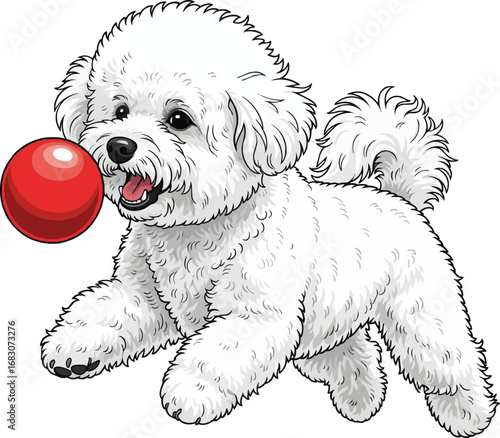 Bichon Frise dog paying with ball cute vector illustration