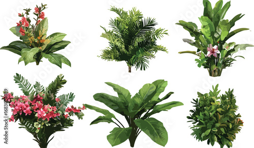 Collection of six vibrant tropical plants with lush green foliage and colorful flowers isolated on white
