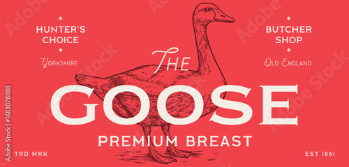 Goose. Hand drawn farm bird, poultry, goose. Vintage retro print, black white goose, poultry, sketch ink pencil style drawing, engrave. Sketch artwork silhouette head farm bird. Vector Illustration