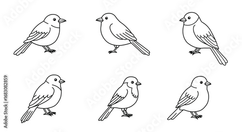 Outline Set of Six Bird Icons in Doodle Style on White Background  