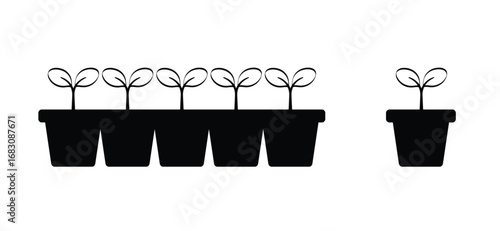 Flowers, plants growing tray. Cartoon growing seedling. Seedlings in a box. Propagate by cuttings. Saplings. Young seedling in ground and sprouts of plant. Vegetable seedlings growing at soil in pot. 