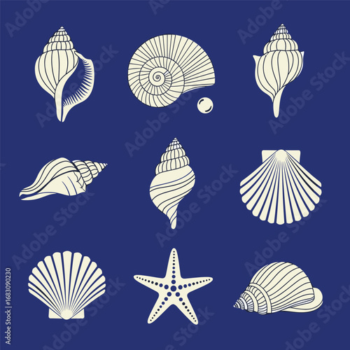 A beautiful collection of delicate seashells and starfish depicted on a deep blue background