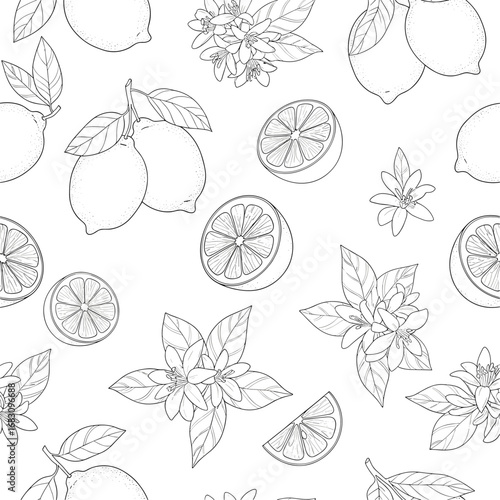 Artistic sketchy lemon fruit and blossom pattern for summer designs