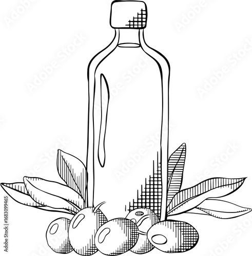 Hand-drawn olive oil bottle with berries and leaves composition. Vector graphic line ink Black and white illustration. Extra virgin olive oil. Vintage style. Sample poster, holiday banner, postcard.