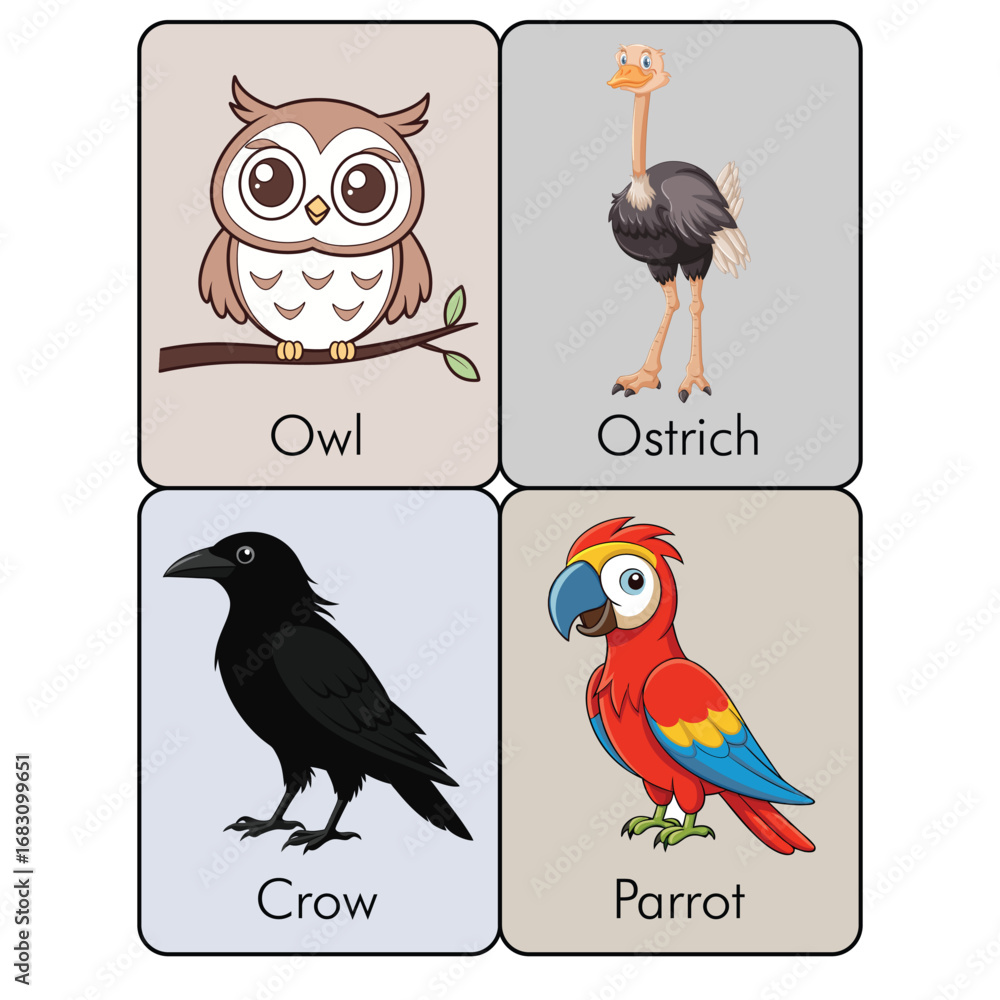Obraz premium Animal Flashcards owl ostrich crow parrot