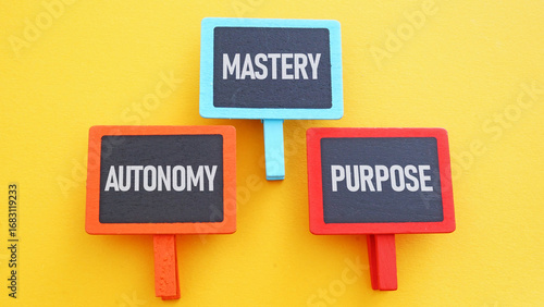 Autonomy, mastery and purpose for success and career growth from the beginning. Motivate to personal development