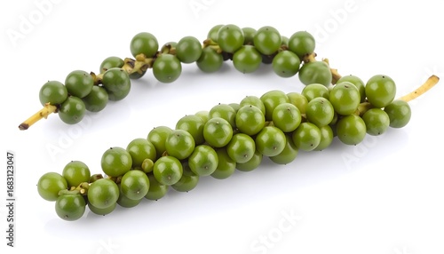 Fresh green peppercorns on stems