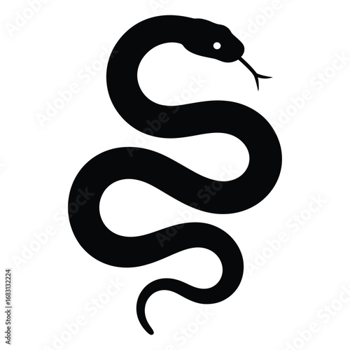 black and white snake