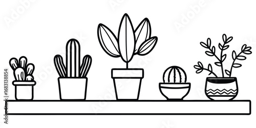 Simple black and white line drawing of five potted houseplants on a shelf
