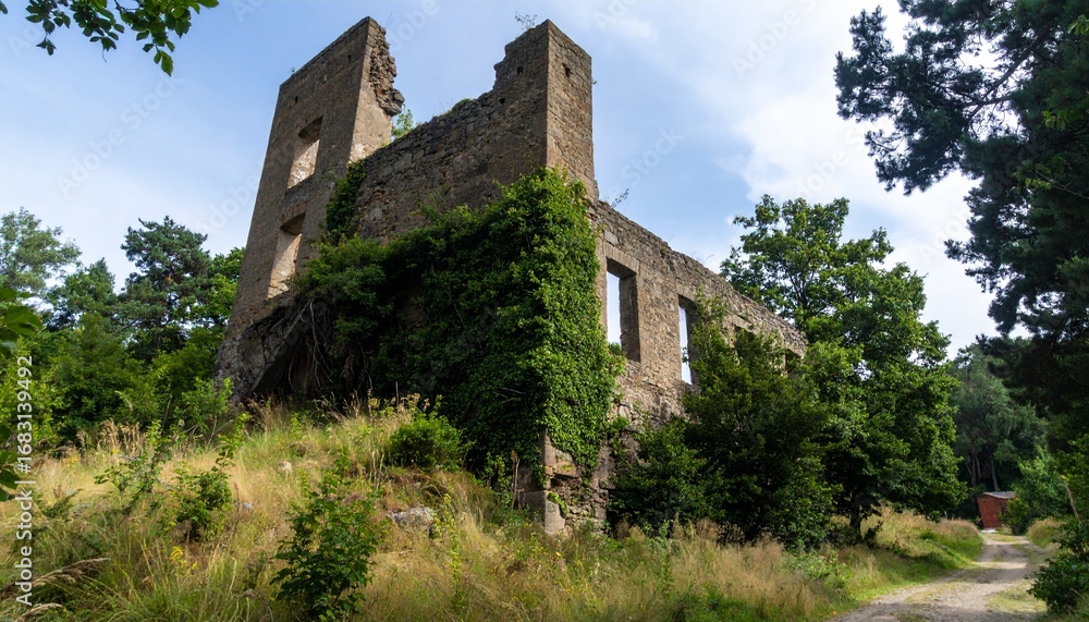 Fototapeta premium Imagen hiperrealista de un poblado minero, sin presencia humana ni elementos modernos. están cubiertas por densa vegetación: hiedra, arbustos, musgo y raíces que se aferran a la piedra erosionada.