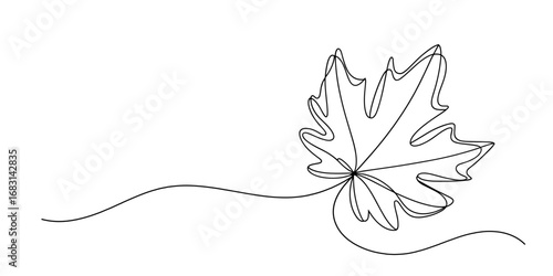 Maple Leaf Continuous One Line Drawing Vector Illustration