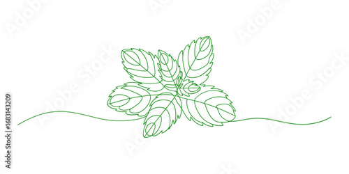 Mint Leaves Continuous One Line Drawing Vector Illustration