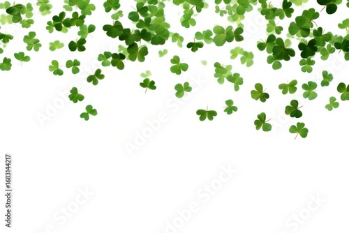 Falling clover leaves backgrounds plant herbs.