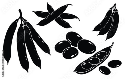 Illustration of pods and seeds vector graphic for food agriculture and healthy eating silhouette