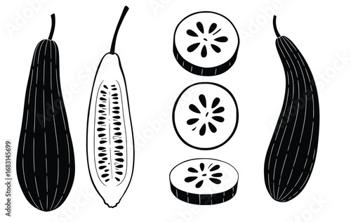 Vector graphic of zucchini illustration whole and sliced healthy food ingredient fresh veggie silhouette