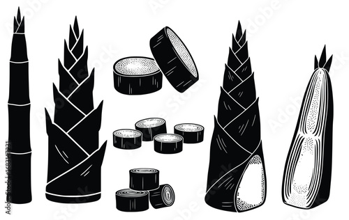 Bamboo shoots vector illustration fresh ingredient asian cuisine culinary art design 90s style silhouette