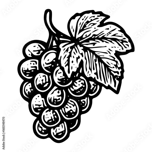 Premium Vineyard Grapes: Fresh Organic Wine Fruit Illustration