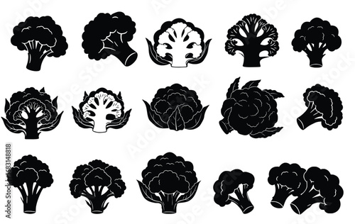 Vector cauliflower broccoli set illustration isolated healthy food vegetable diet design silhouette