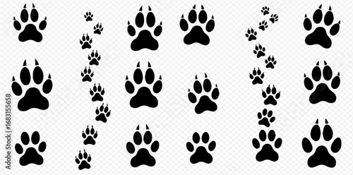 Graphic illustration of animal paw prints, some in rows and some in trails.