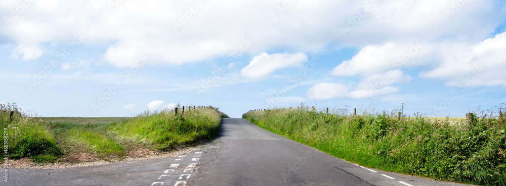 Fototapeta premium dorset country road on summer day with flowers and fields
