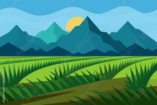 lush paddy fields in asia  reflecting the sky and 