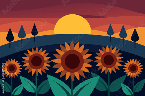 fields of sunflowers at dusk  with the sun setting