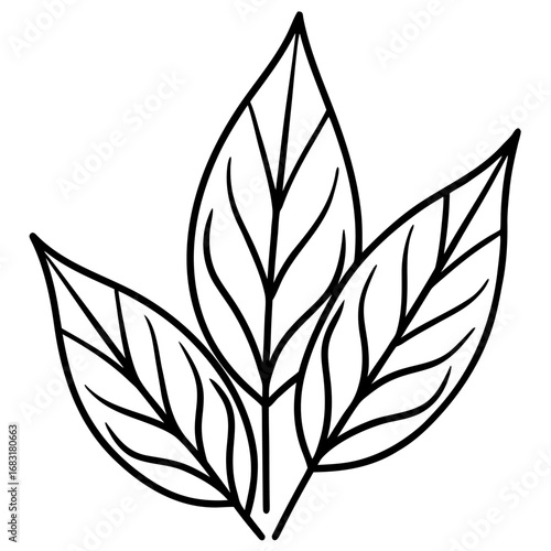 Minimalist line art of dried autumn leaves