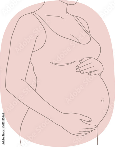 A pregnant woman's belly and hands cradling her baby bump