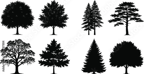Detailed Vector Tree Silhouettes of Deciduous and Conifer Types for Forest Landscape, Nature Design, Outdoor Illustration, and Park Elements