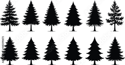 Set of black pine tree silhouette vector illustrations for forest, nature, outdoor landscape, seasonal winter design, and natural decoration artwork.