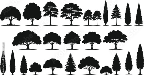 Set of Deciduous and Evergreen Tree Silhouettes, Vector Tree Collection for Landscape Design, Nature Illustration, and Graphic Projects