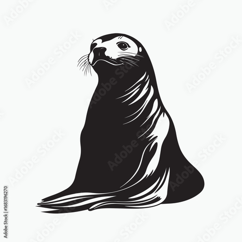 seal on the beach